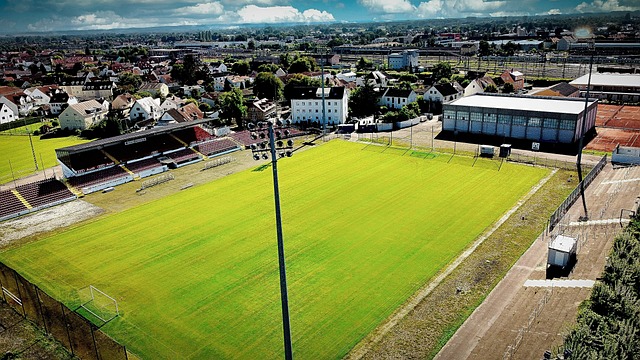 男子单打 男子单打